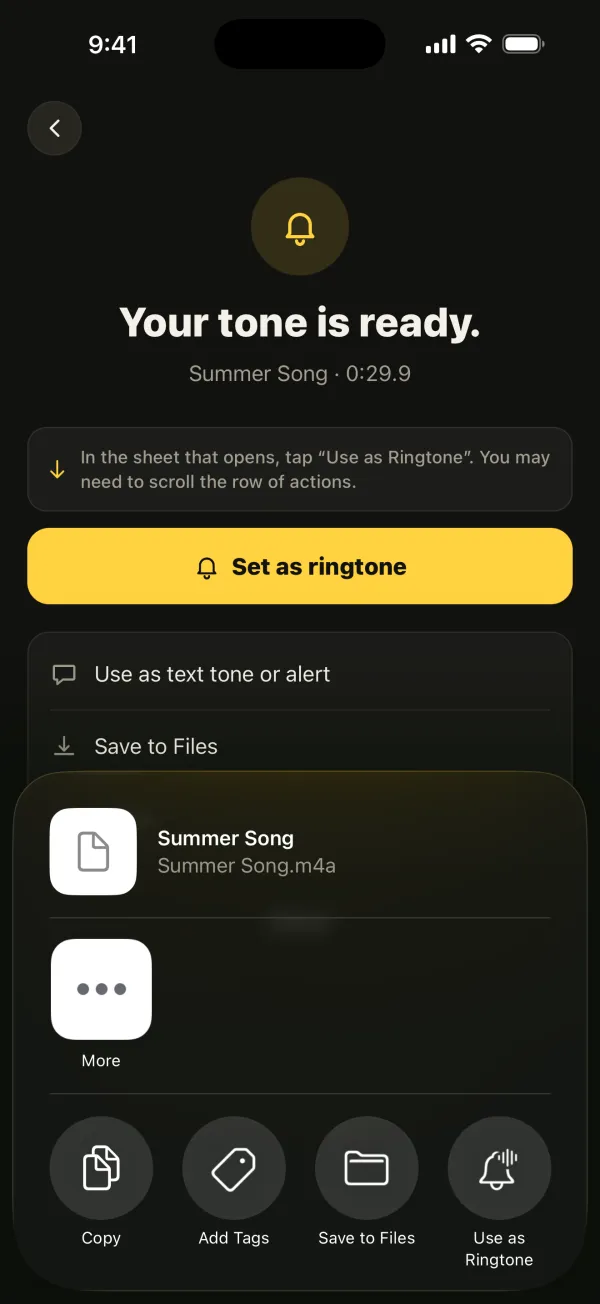 Màn hình xuất của Ringsy (giao diện tiếng Anh) với bảng chia sẻ của iOS có tác vụ dùng làm nhạc chuông