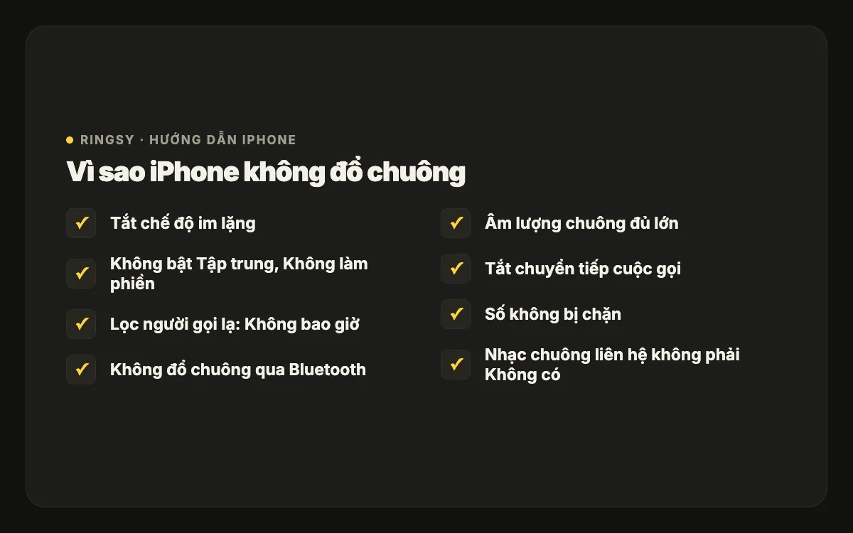 Danh sách lý do iPhone không đổ chuông: chế độ im lặng, Tập trung, lọc người gọi không xác định, Bluetooth, âm lượng chuông, chuyển tiếp cuộc gọi, liên hệ bị chặn, nhạc chuông của liên hệ đặt là Không có